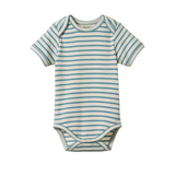 Nature Baby Short Sleeve Bodysuit - Mineral Sailor Stripe