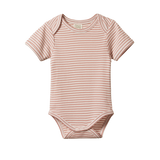 Nature Baby S/S Bodysuit - Tulip Stripe