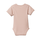 Nature Baby S/S Bodysuit - Tulip Stripe