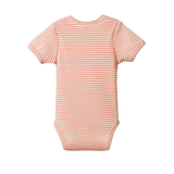 Nature Baby Short Sleeve Bodysuit - Peony Stripe