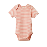 Nature Baby Short Sleeve Bodysuit - Peony Stripe