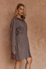 Sass Mel Stripe Shirt Dress - CHOC STRIPE BROWN