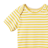 Nature Baby Short Sleeve Bodysuit - Sunburst Stripe