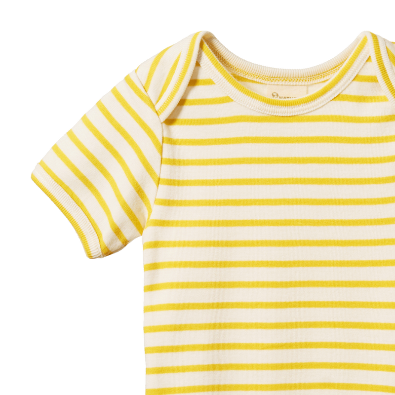 Nature Baby Short Sleeve Bodysuit - Sunburst Stripe