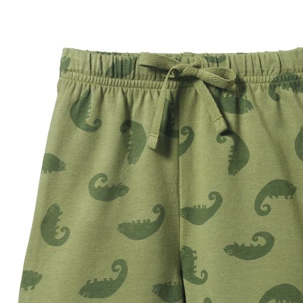 Nature Baby Jimmy Shorts - Chameleon Print