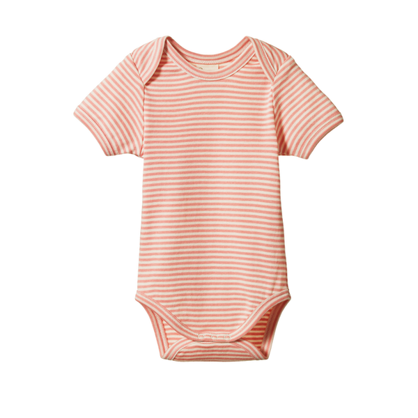 Nature Baby Short Sleeve Bodysuit - Peony Stripe